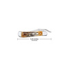 Case Cutlery Knife, 6.5 Bone Stag Russlock 65303